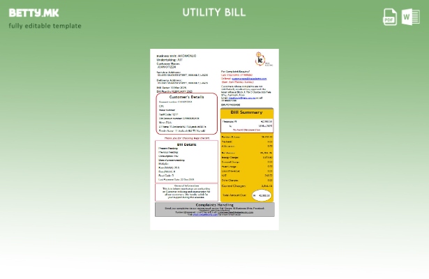 Модерен стил Нигерија IKEJA Шаблон за сметки за електрична енергија